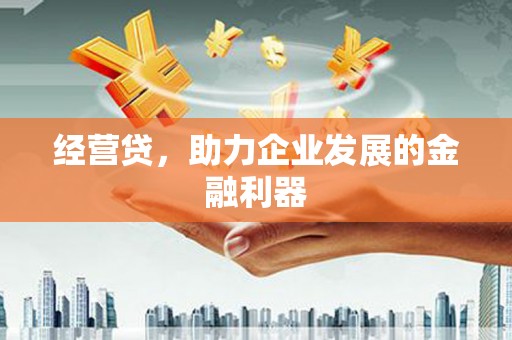 南安经营贷，助力企业发展的金融利器