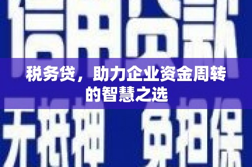 海盐税务贷，助力企业资金周转的智慧之选