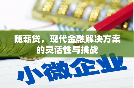 泗县随薪贷，现代金融解决方案的灵活性与挑战