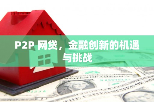 田林P2P 网贷，金融创新的机遇与挑战