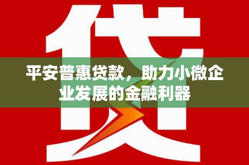 武隆平安普惠贷款，助力小微企业发展的金融利器