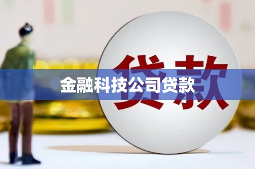 佳冬金融科技公司贷款