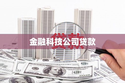 达孜金融科技公司贷款
