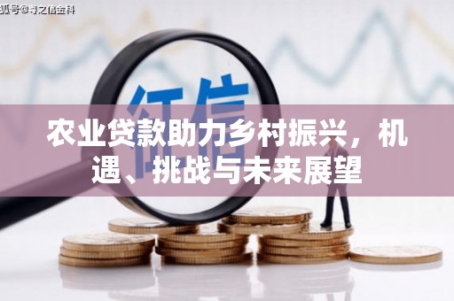 商州农业贷款助力乡村振兴，机遇、挑战与未来展望