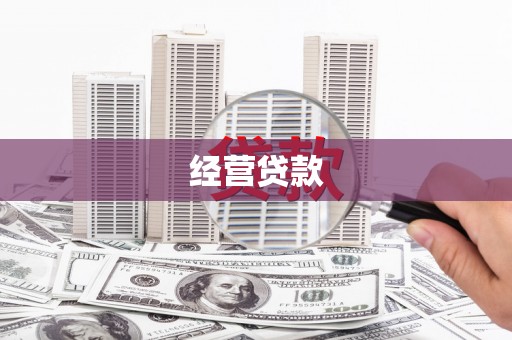 阜城经营贷款