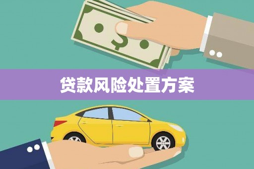 崖州贷款风险处置方案