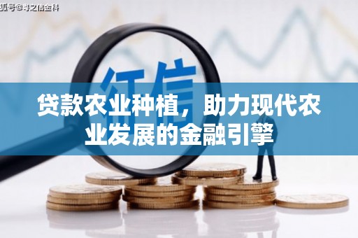 花地玛堂区贷款农业种植，助力现代农业发展的金融引擎