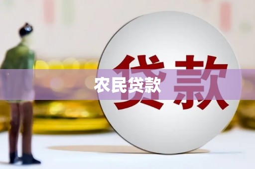 凤山农民贷款