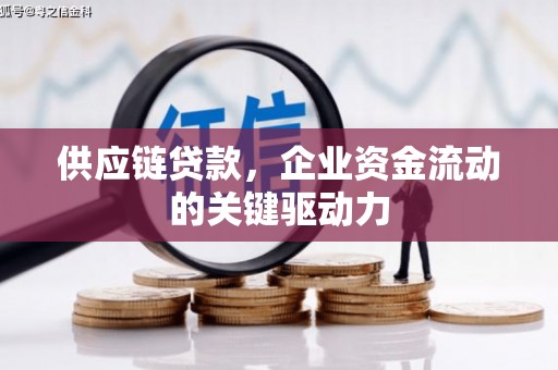 曲水供应链贷款，企业资金流动的关键驱动力