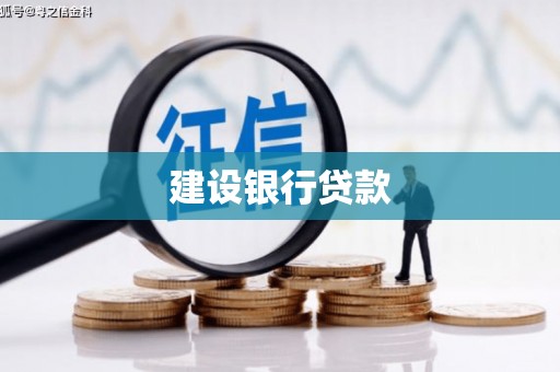 玉树建设银行贷款