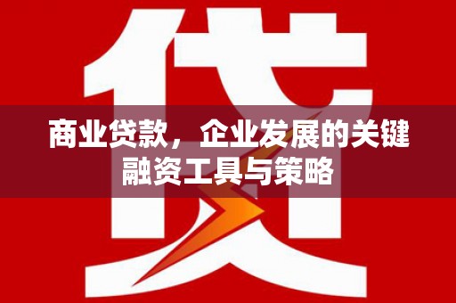 芦山商业贷款，企业发展的关键融资工具与策略
