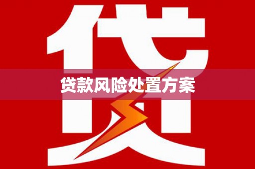 海兴贷款风险处置方案