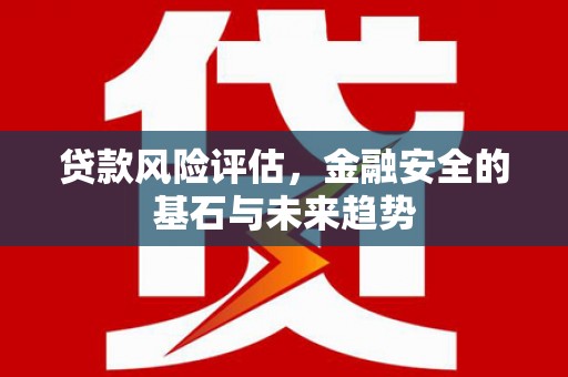 靖州贷款风险评估，金融安全的基石与未来趋势