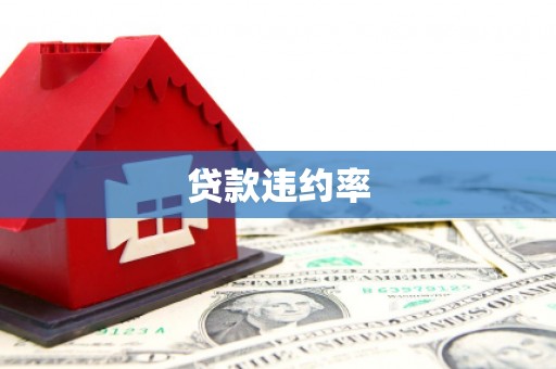 大甲贷款违约率
