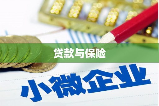 阆中贷款与保险