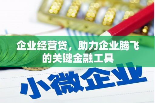 西夏企业经营贷，助力企业腾飞的关键金融工具