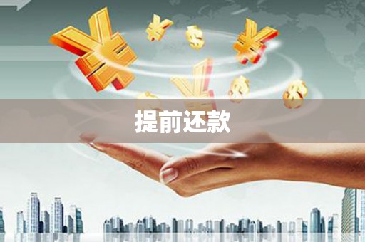 红星提前还款