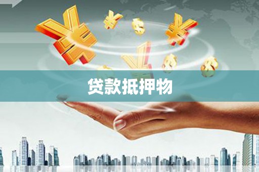 琼中贷款抵押物