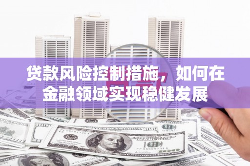 狮子山贷款风险控制措施，如何在金融领域实现稳健发展