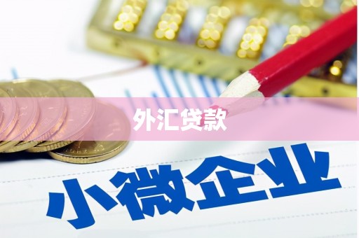 云南外汇贷款
