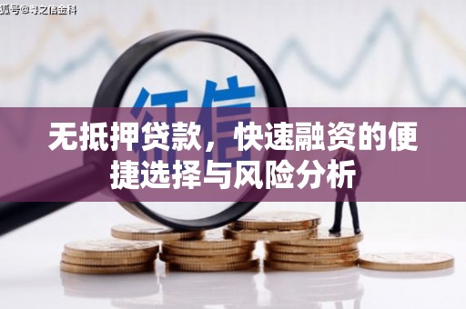 林园无抵押贷款，快速融资的便捷选择与风险分析