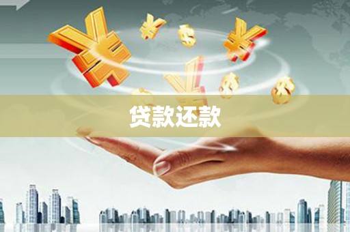 扶绥贷款还款