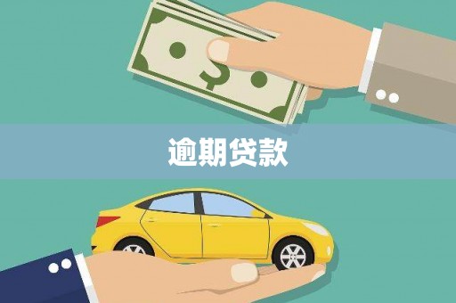大林逾期贷款