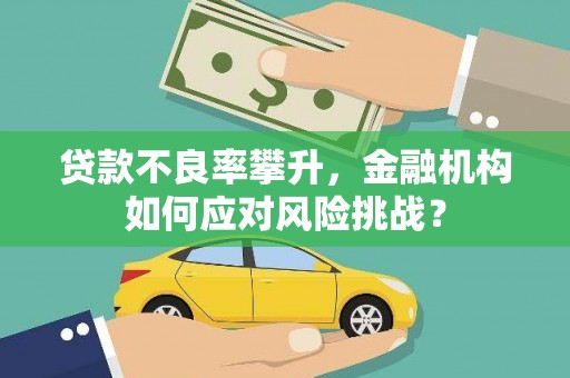 水林贷款不良率攀升，金融机构如何应对风险挑战？