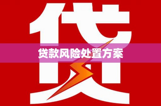 汤原贷款风险处置方案