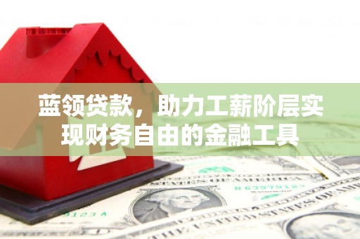 法库蓝领贷款，助力工薪阶层实现财务自由的金融工具