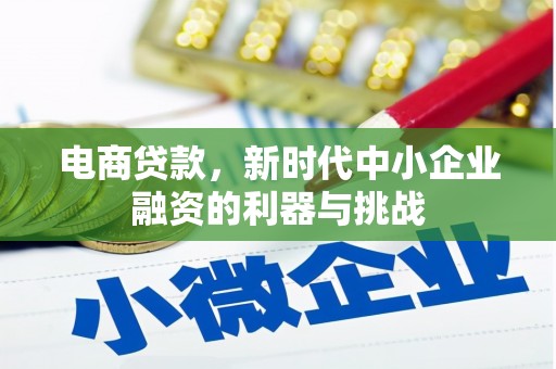 汉中电商贷款，新时代中小企业融资的利器与挑战