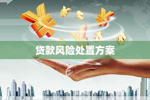 新蔡贷款风险处置方案