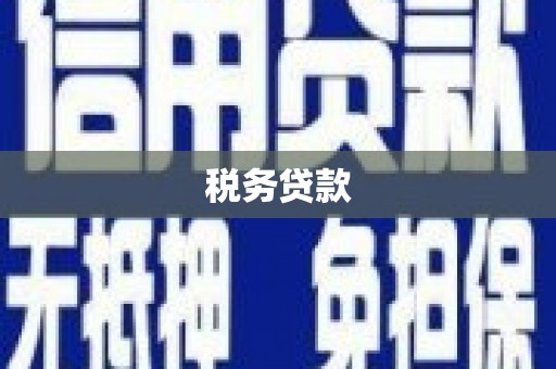 石楼税务贷款