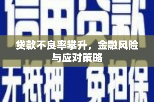 叙永贷款不良率攀升，金融风险与应对策略