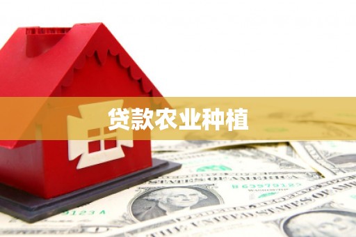 鱼峰贷款农业种植