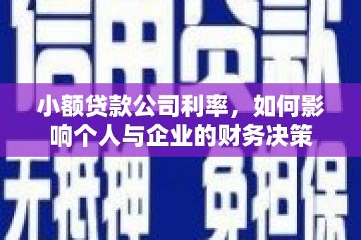 市中区小额贷款公司利率，如何影响个人与企业的财务决策