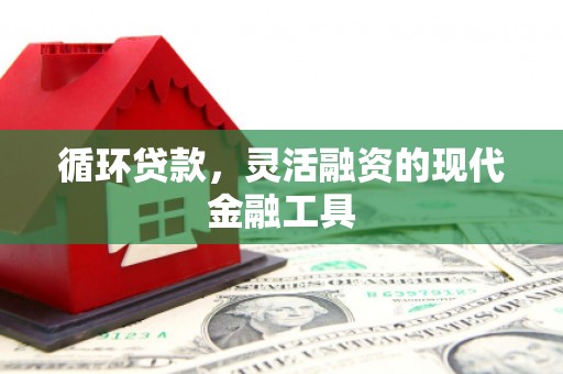 隆回循环贷款，灵活融资的现代金融工具