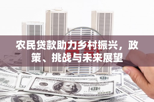 沛县农民贷款助力乡村振兴，政策、挑战与未来展望