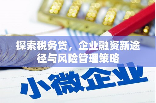 稷山探索税务贷，企业融资新途径与风险管理策略