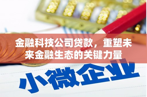 海陵金融科技公司贷款，重塑未来金融生态的关键力量