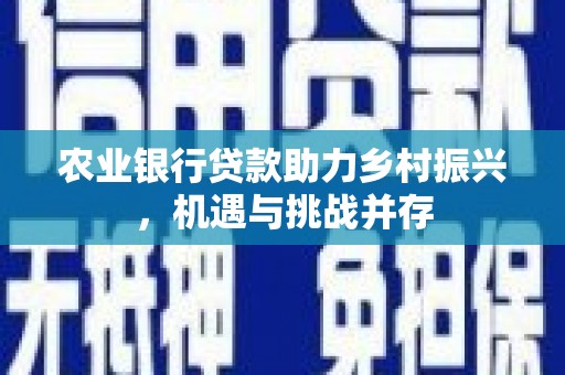磐安农业银行贷款助力乡村振兴，机遇与挑战并存