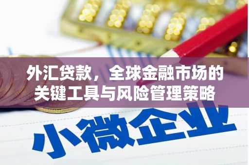 安化外汇贷款，全球金融市场的关键工具与风险管理策略