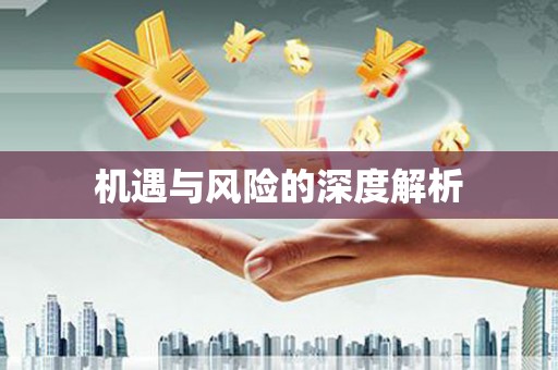 临高机遇与风险的深度解析