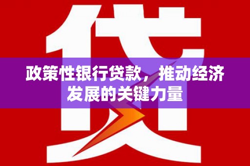 攸县政策性银行贷款，推动经济发展的关键力量