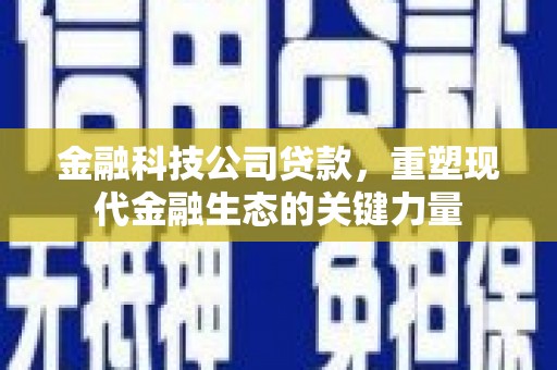 南城金融科技公司贷款，重塑现代金融生态的关键力量