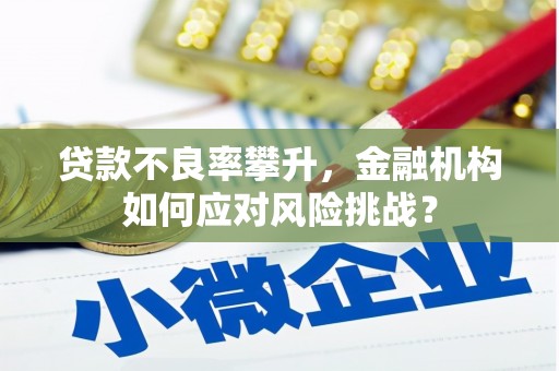 芦山贷款不良率攀升，金融机构如何应对风险挑战？