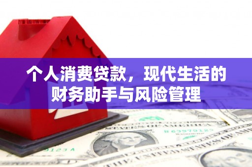 斗南个人消费贷款，现代生活的财务助手与风险管理