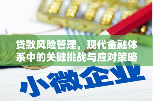 西双版纳贷款风险管理，现代金融体系中的关键挑战与应对策略