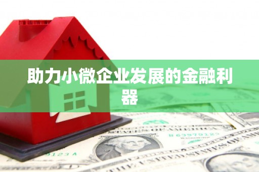 乐东助力小微企业发展的金融利器