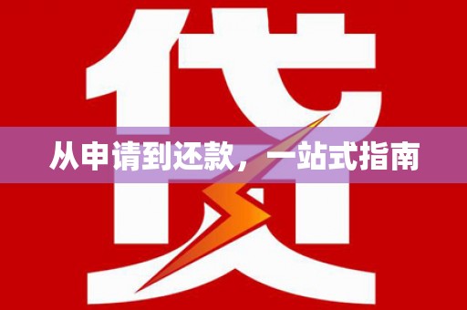 安定从申请到还款，一站式指南